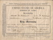Marriage License of Albert Robert Peterson and Sue F. Krueger