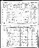 Census 1891 - Family of August and Martha Ploethner