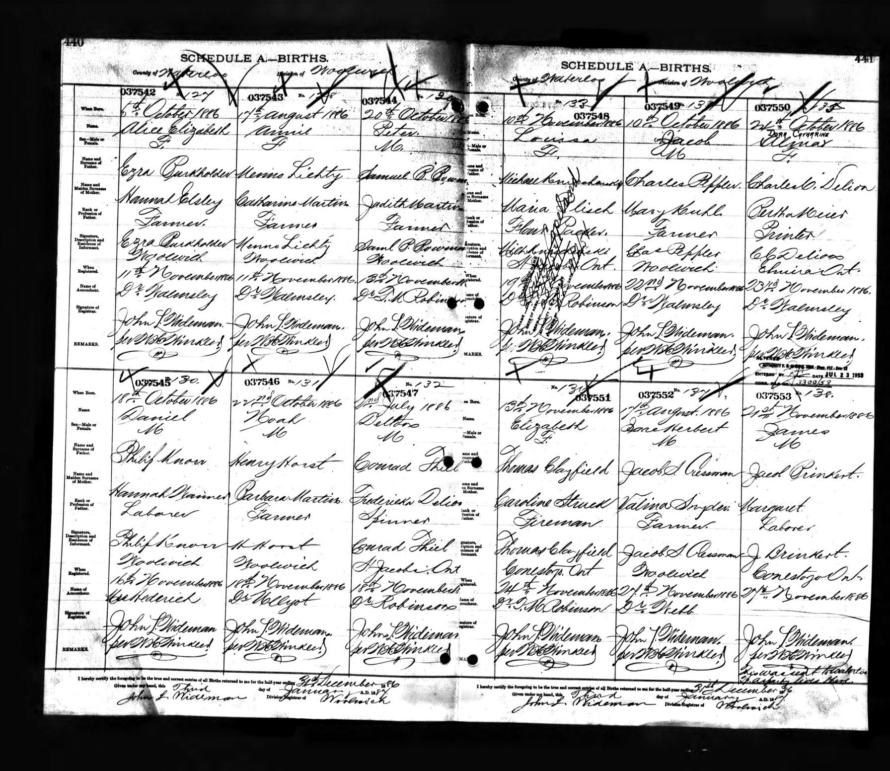 Birth record of Dora Delion Birth record of Dora Delion