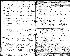 Birth record of Jacob Elmore Truemner