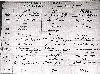 Death record of Mathias Wurm Death record of Mathias Wurm