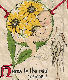 Postcard 1916 Postcard 1916
