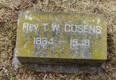 COSENS, T. W. 